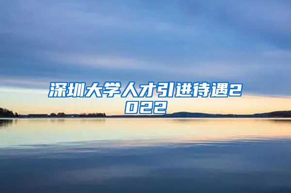 深圳大学人才引进待遇2022