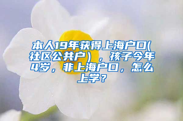 本人19年获得上海户口(社区公共户），孩子今年4岁，非上海户口，怎么上学？