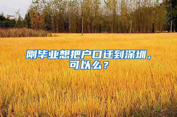 刚毕业想把户口迁到深圳，可以么？