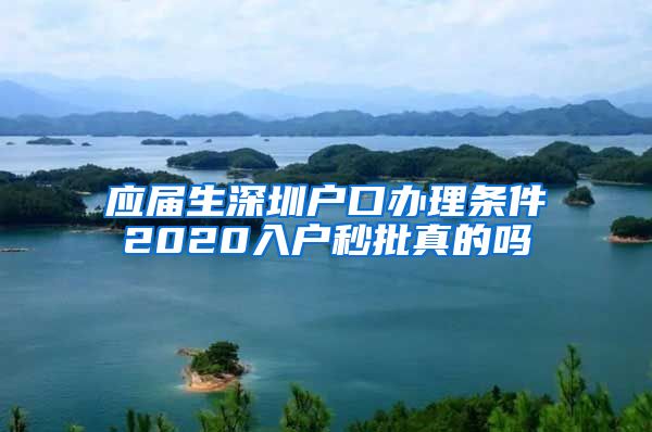 应届生深圳户口办理条件2020入户秒批真的吗