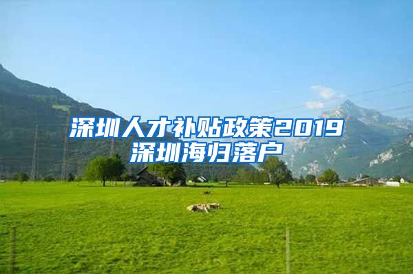 深圳人才补贴政策2019深圳海归落户