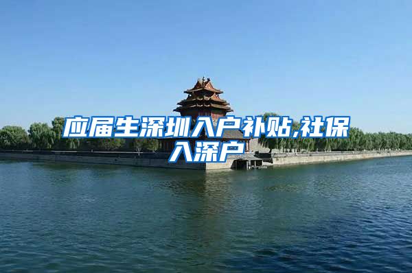 应届生深圳入户补贴,社保入深户