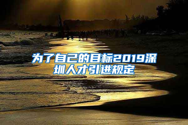 为了自己的目标2019深圳人才引进规定