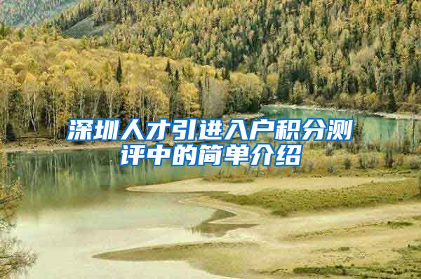 深圳人才引进入户积分测评中的简单介绍