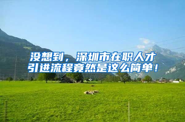 没想到，深圳市在职人才引进流程竟然是这么简单！