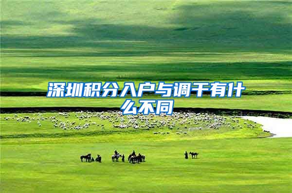 深圳积分入户与调干有什么不同