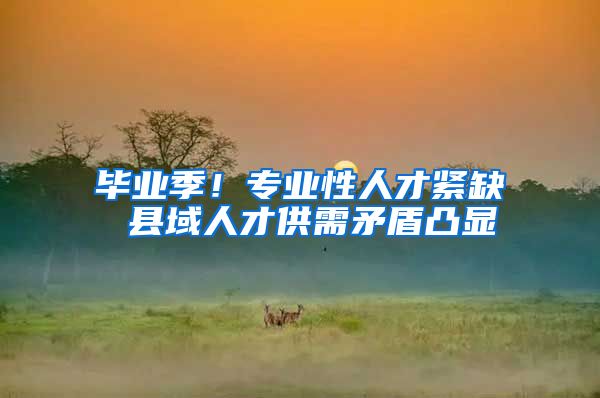 毕业季！专业性人才紧缺 县域人才供需矛盾凸显