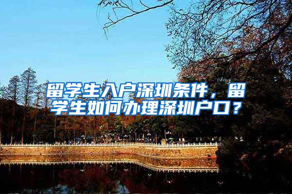 留学生入户深圳条件，留学生如何办理深圳户口？