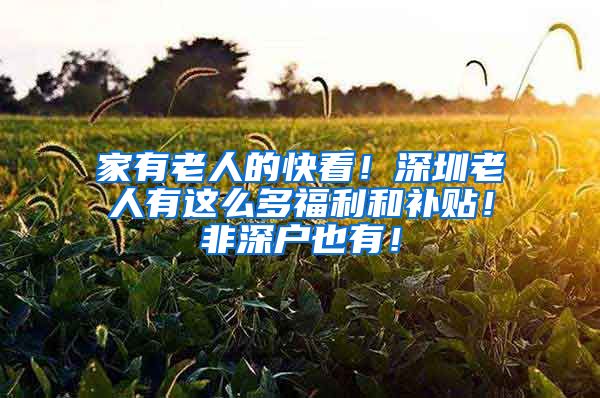 家有老人的快看！深圳老人有这么多福利和补贴！非深户也有！