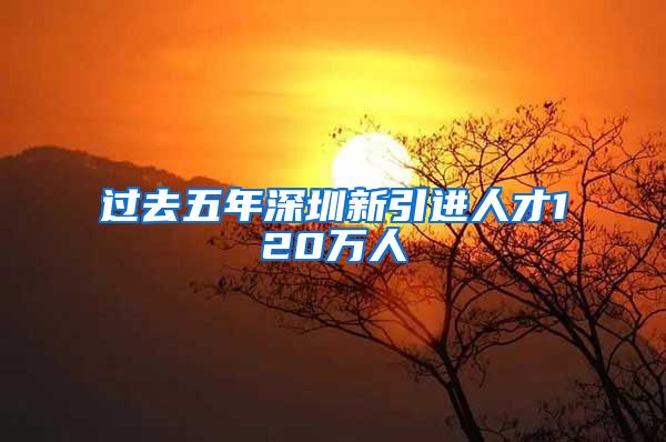过去五年深圳新引进人才120万人