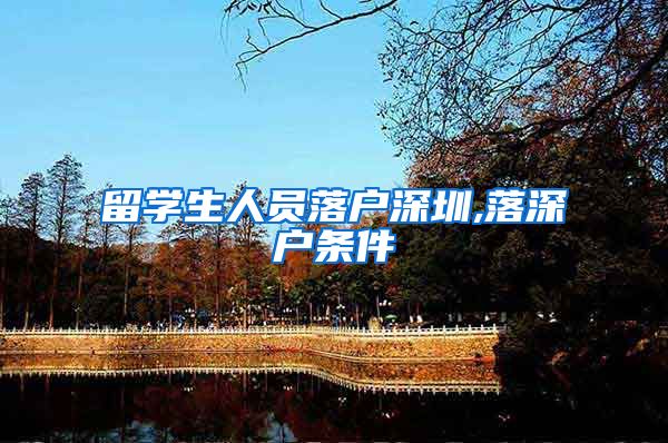 留学生人员落户深圳,落深户条件