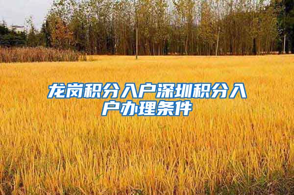 龙岗积分入户深圳积分入户办理条件
