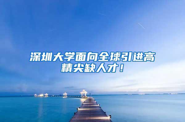 深圳大学面向全球引进高精尖缺人才！