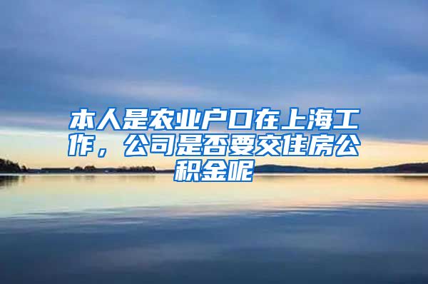 本人是农业户口在上海工作，公司是否要交住房公积金呢