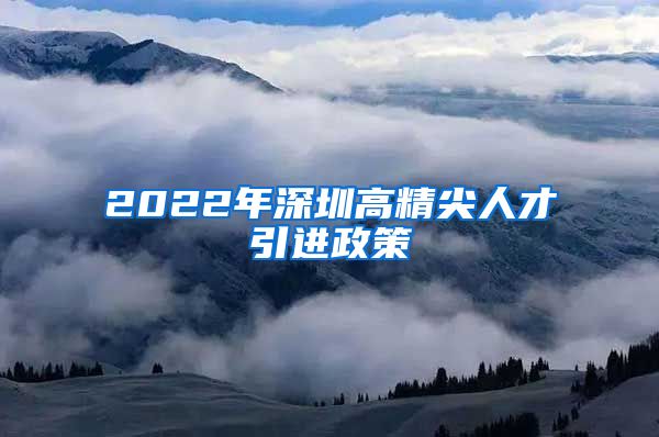 2022年深圳高精尖人才引进政策
