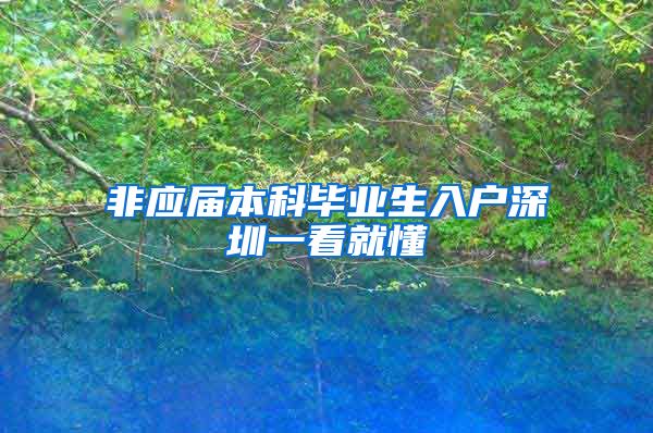 非应届本科毕业生入户深圳一看就懂
