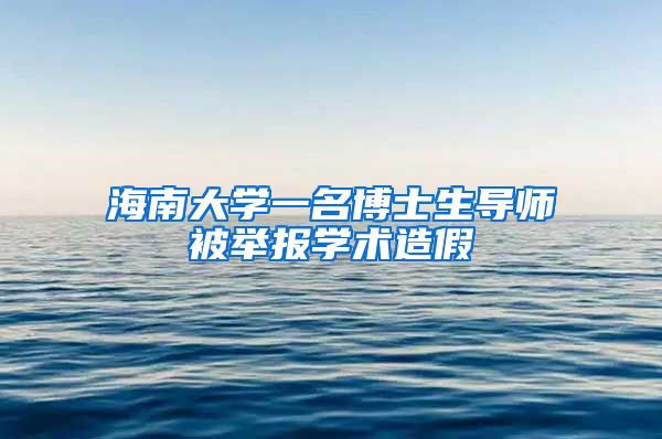 海南大学一名博士生导师被举报学术造假
