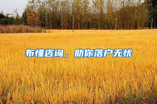 布懂咨询，助你落户无忧