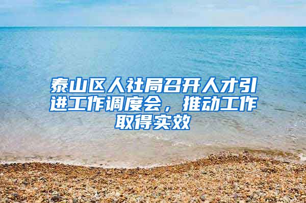 泰山区人社局召开人才引进工作调度会，推动工作取得实效