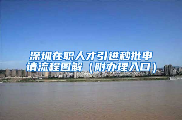深圳在职人才引进秒批申请流程图解（附办理入口）