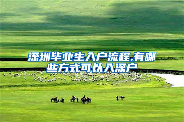 深圳毕业生入户流程,有哪些方式可以入深户