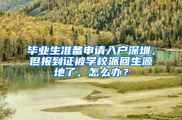 毕业生准备申请入户深圳，但报到证被学校派回生源地了，怎么办？