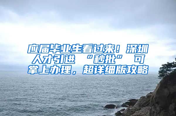 应届毕业生看过来！深圳人才引进 “秒批” 可掌上办理，超详细版攻略