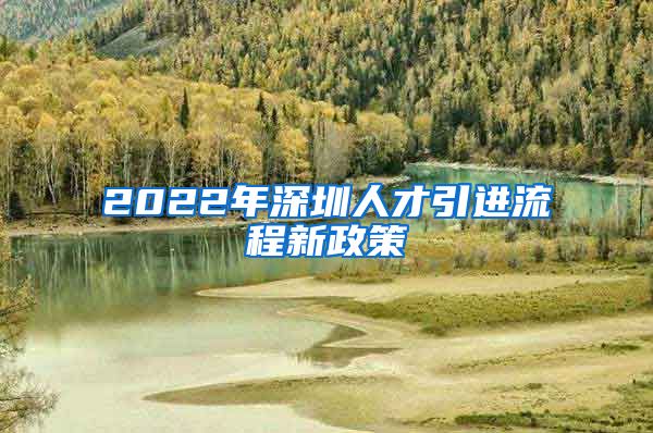 2022年深圳人才引进流程新政策