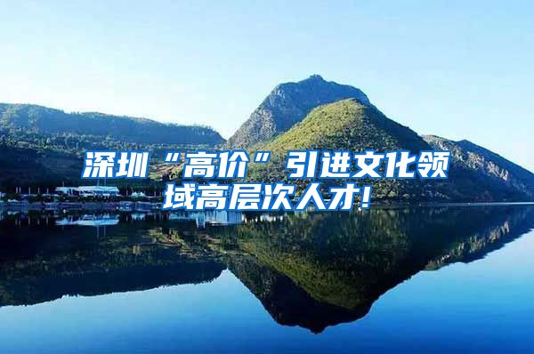 深圳“高价”引进文化领域高层次人才!