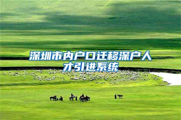 深圳市内户口迁移深户人才引进系统