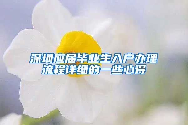 深圳应届毕业生入户办理流程详细的一些心得