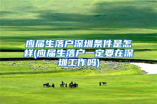 应届生落户深圳条件是怎样(应届生落户一定要在深圳工作吗)