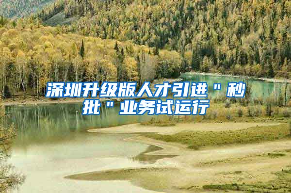 深圳升级版人才引进＂秒批＂业务试运行