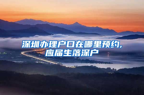 深圳办理户口在哪里预约,应届生落深户