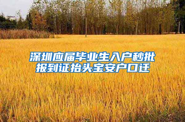 深圳应届毕业生入户秒批报到证抬头宝安户口迁