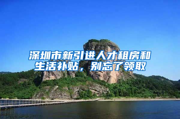 深圳市新引进人才租房和生活补贴，别忘了领取